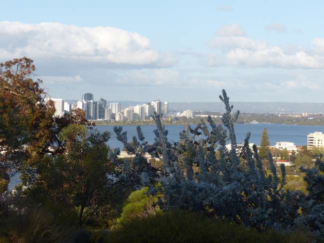 View from Kings Park to Perth