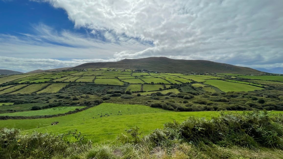 Die grüne Landschaft Irlands