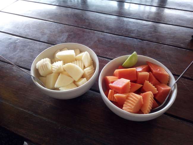 The first meal, apple for Julia, papaya for me