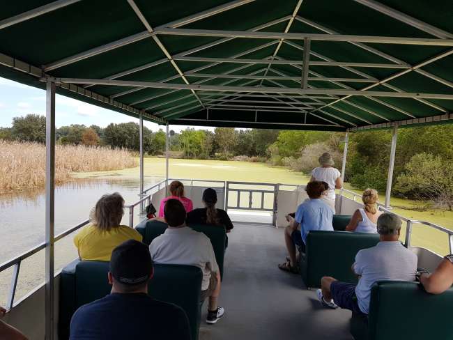 Boat tour to the alligators