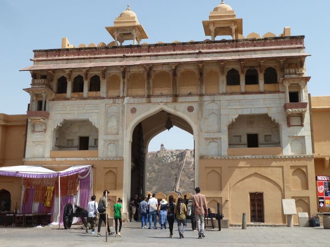 Jaipur- Affenbanden und Paläste