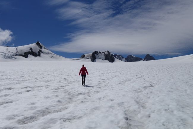 Tag 9 • Franz Josef Glacier - Hokitika