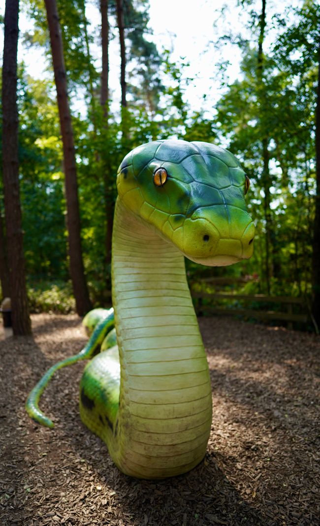 Tag 4: Ich glaub, die Dinos sind da!