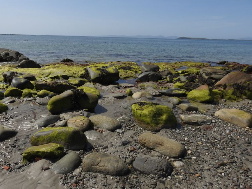 Muasdale Strand - SUP