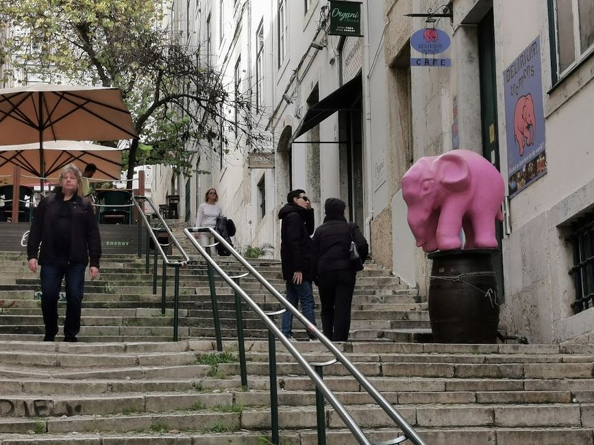 The elephant in the room (on the stairs)
