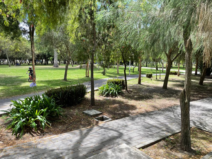 Parque La Carolina