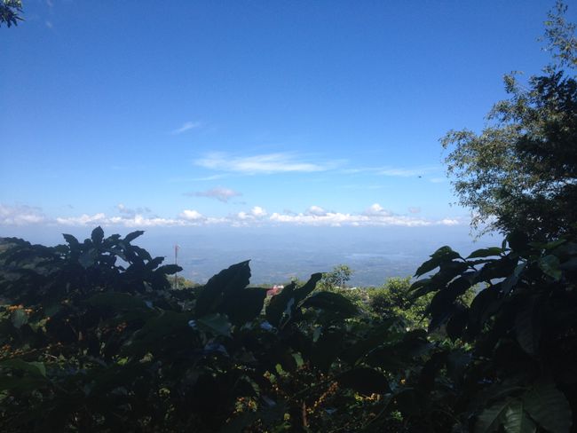 El Salvador: Joy
