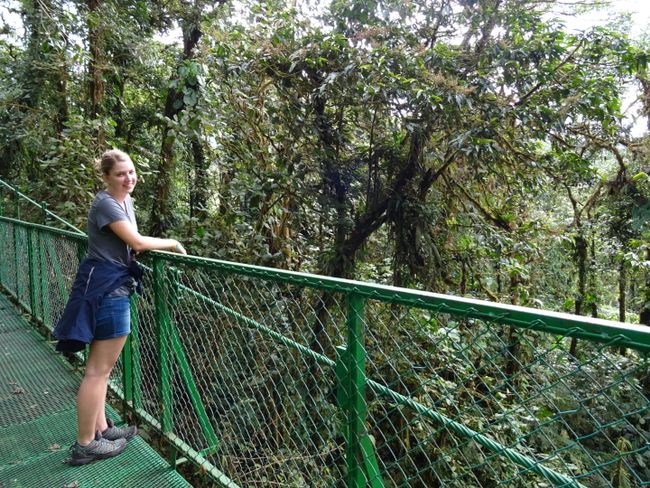 Hanging Bridges Monteverde