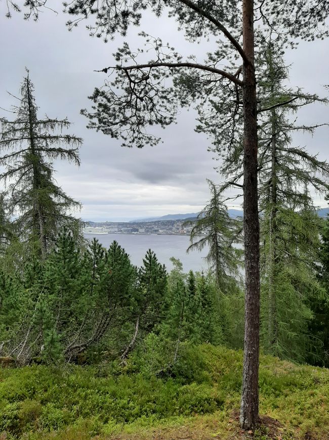 Blick zurück auf Fjord