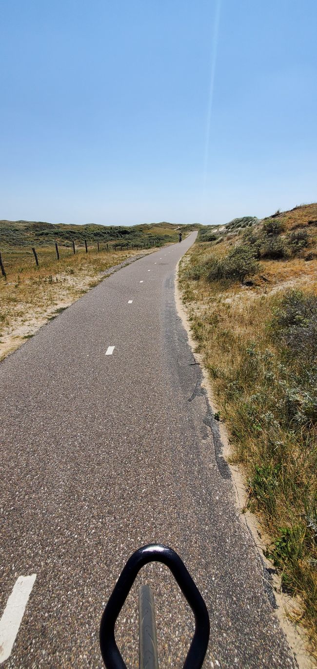 Cycle path in the dunes