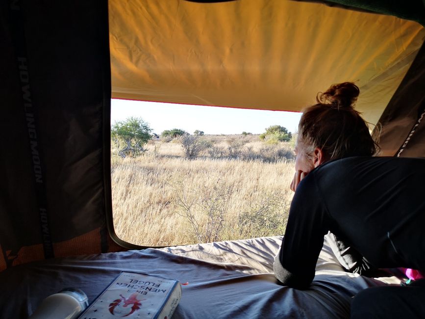 Last camping stop: Kalahari