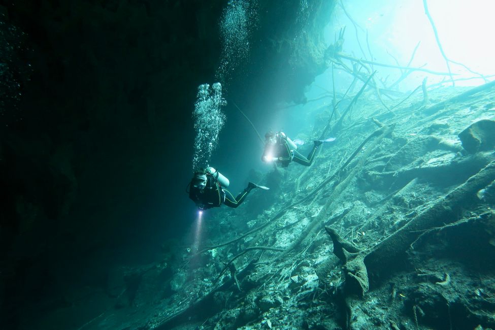 Diving in Cenoten Carwash & Angelita (23.02.2022)