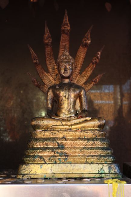 Eine von sehr vielen Buddhastatuen am Wat Phra That Doi Suthep.