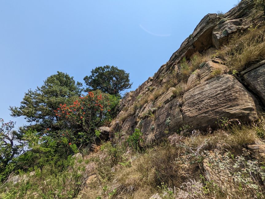 Hiked and Survived in Little Switzerland/Drakensberg