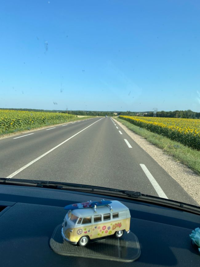 Sunflowers on the left and right