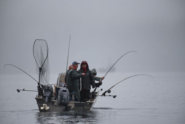 Preparation for the Chum Salmon Fishing Contest on the weekend