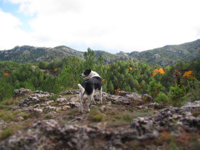 Naturpark Del Ports