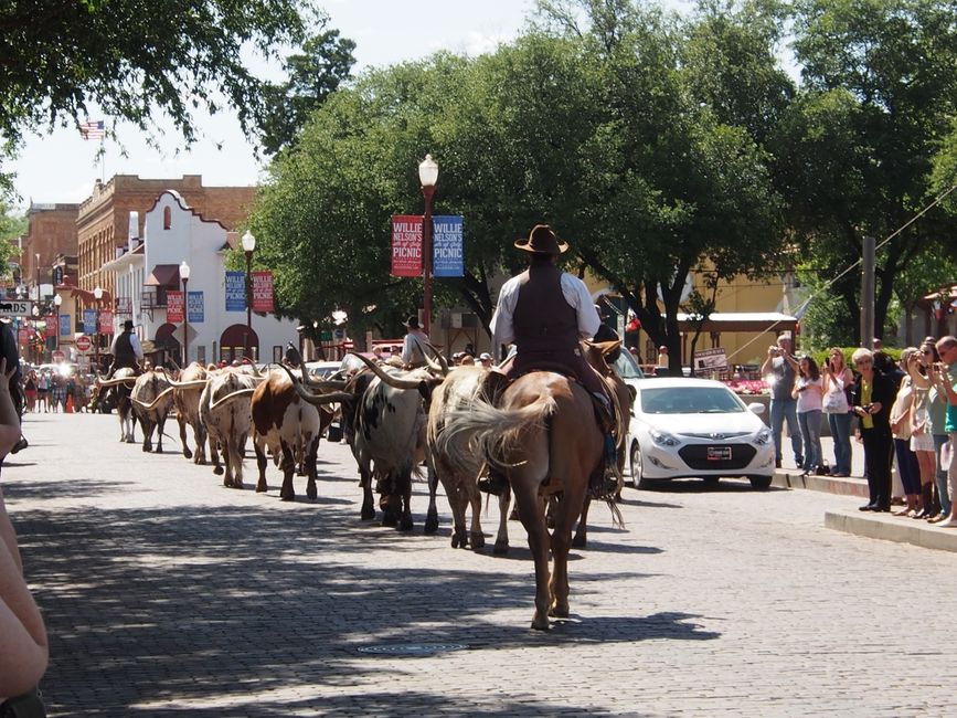 Fort Worth & ein Rodeo