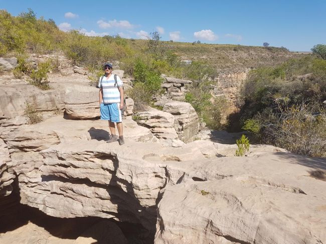 dinosaur tracks