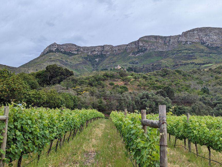 Weintasting's in Stellenbosch