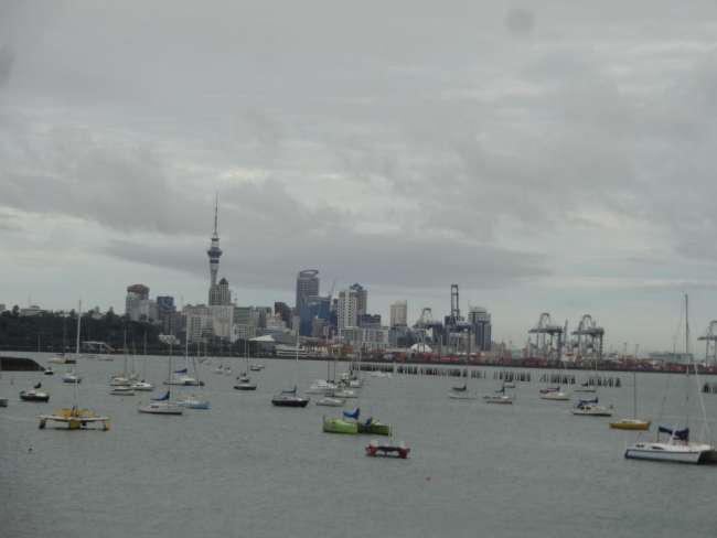 7.3. Sightseeing Auckland