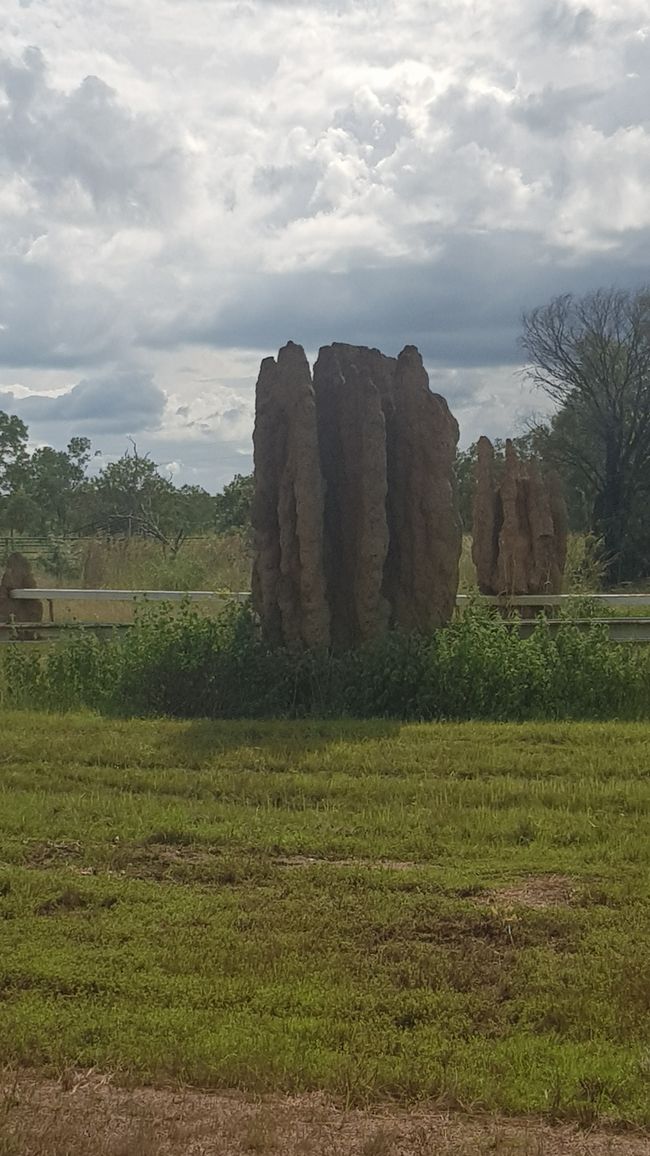 termite mounds, extra large