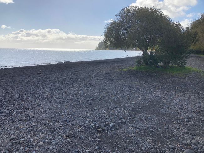 Nineteenth day: Lago Llanquihue (April 29, 2019)