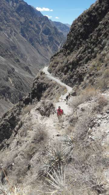 Colca Canyon 7 - Hiking