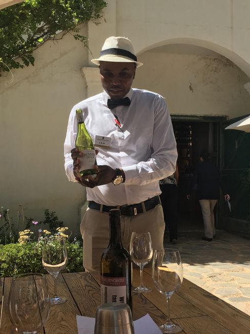 Weintour durch Stellenbosch, Kapstadt