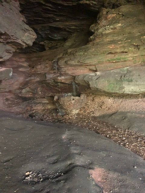 The Bear Cave with leaves from last year and a small waterfall