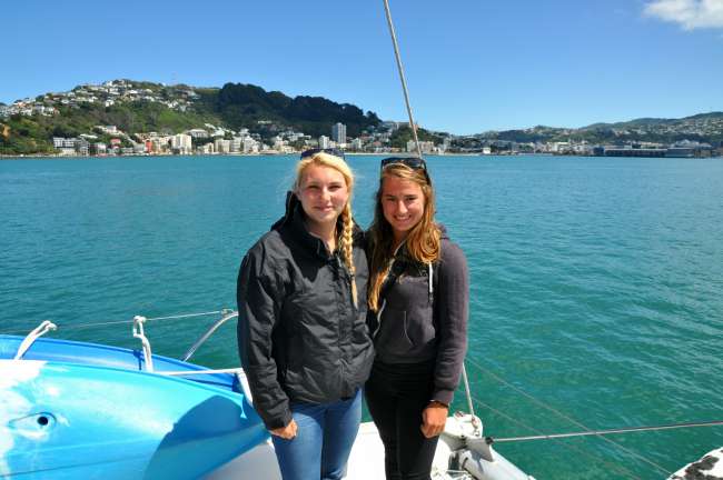 Sailing tour in the bay of Wellington