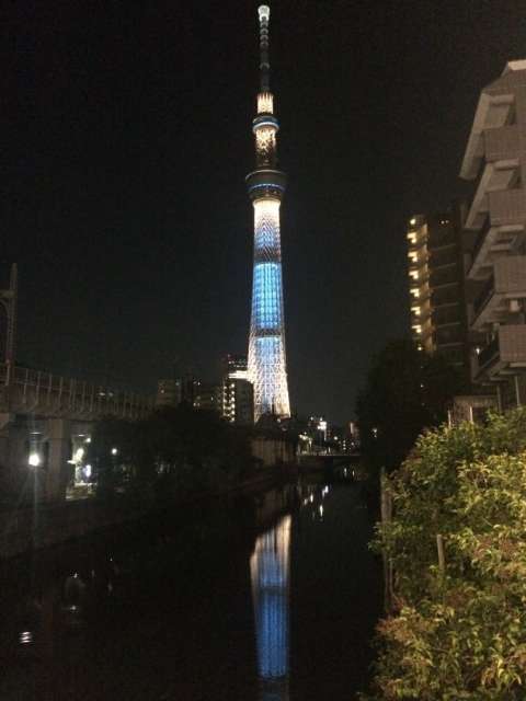 Japan (Tokyo, Osaka, Kyoto)