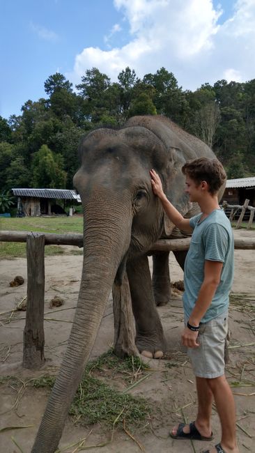 23. und 24.11. Ein Tag mit Elefanten