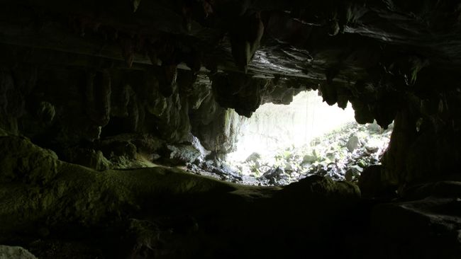 Bat Cave - 2nd Attempt