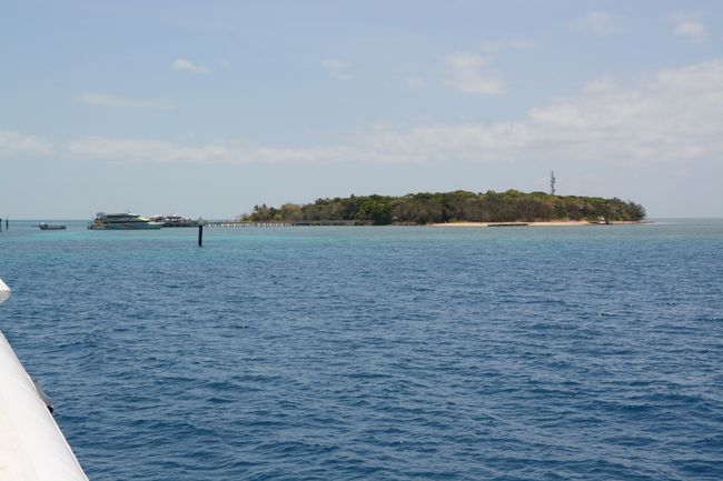 The Green Island 
