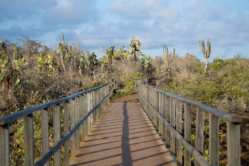 Galapagos Part II: Santa Cruz