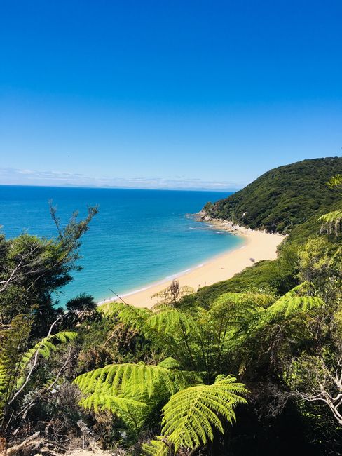 16|01|19, The Abel Tasman National Park and the most beautiful beaches I have ever seen
