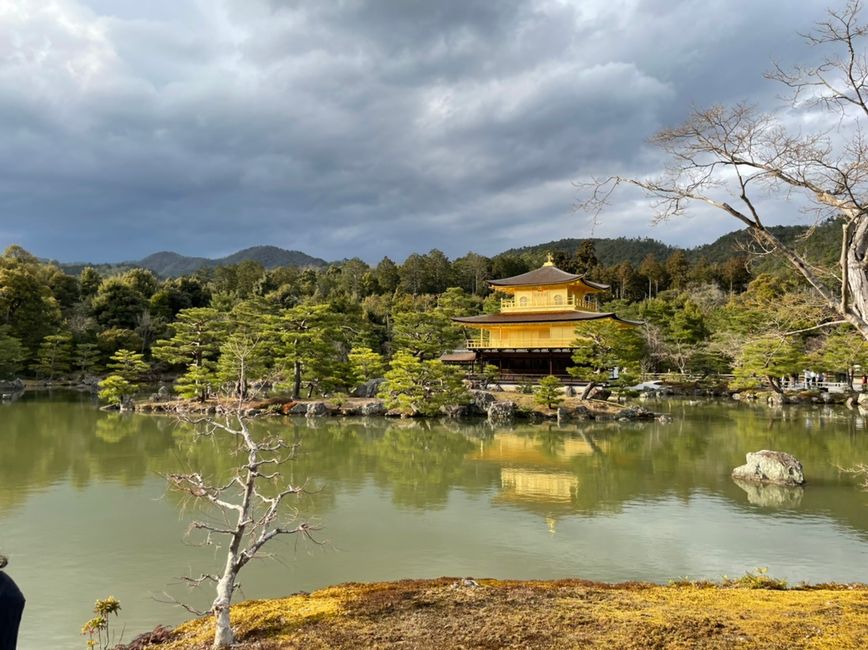 Der Gold Tempel (kinkaku-ji)
