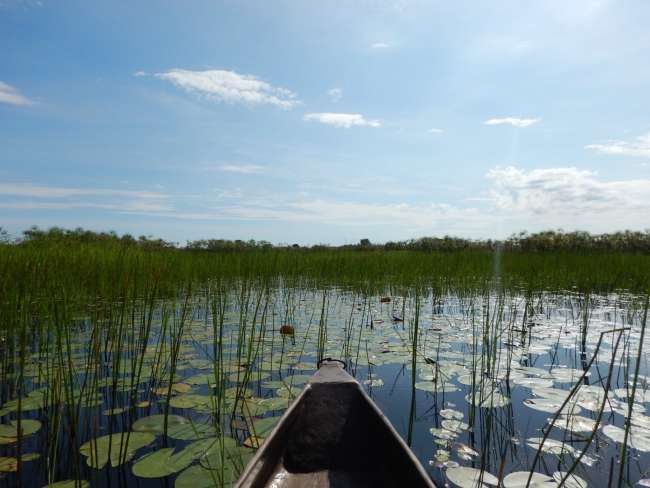 Okavango-Delta