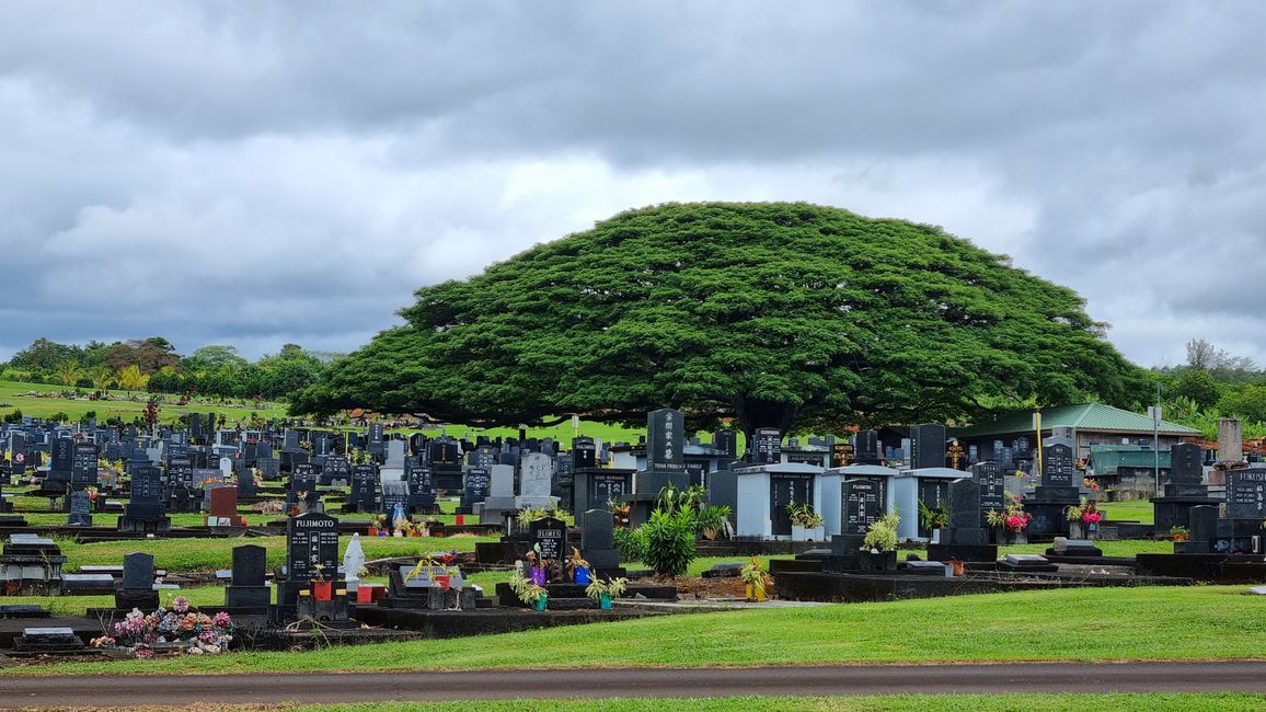 Hawaii 2022 - Teil 1: Big Island
