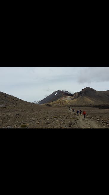 Tongariro Alpine Crossing, also known as Mordor: 20.3 km of pure pain