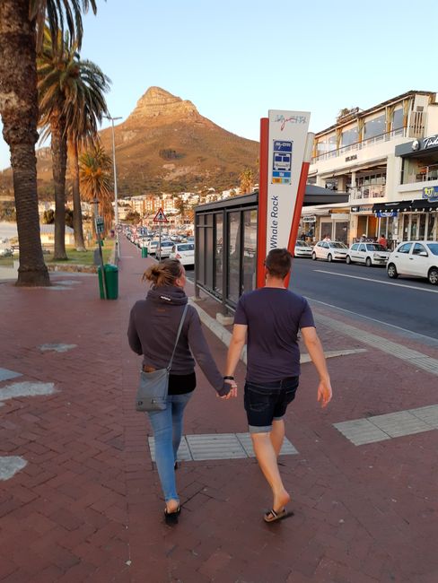 Dag 15/16 - Cape Town