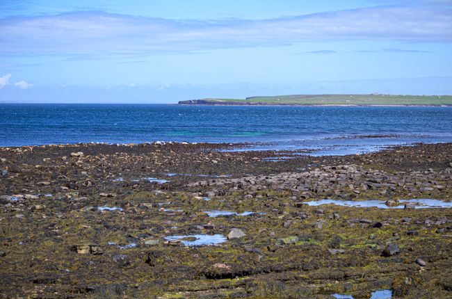Tag 74 - Seals, Dunnet Head and many impressions