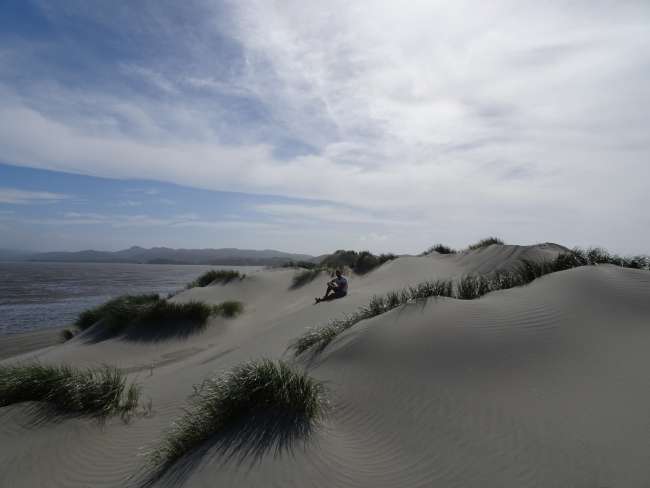 Sand desert at Farewell Spit
