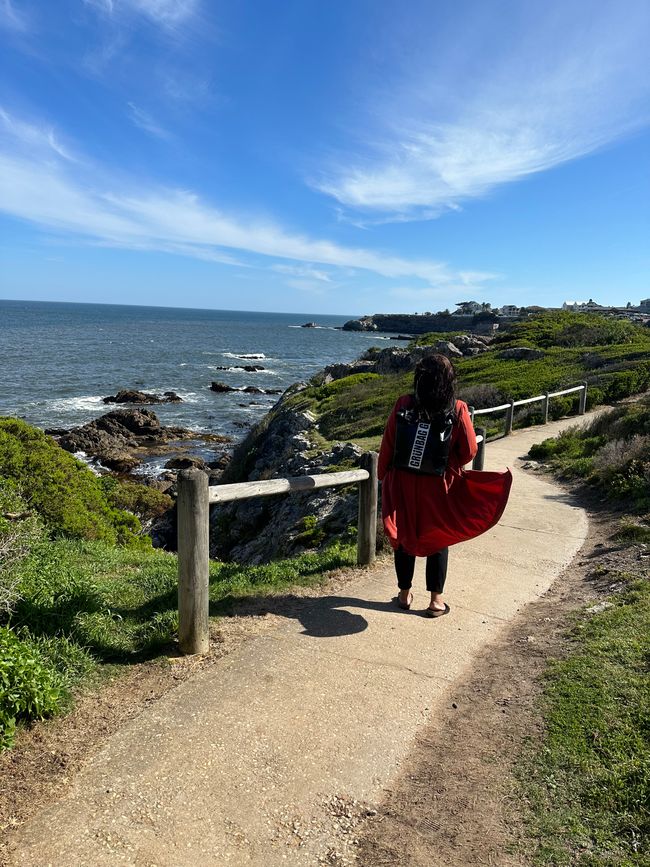 Hermanus ♥️