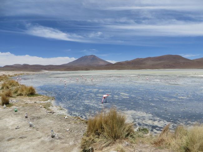 Salar de Uyuni