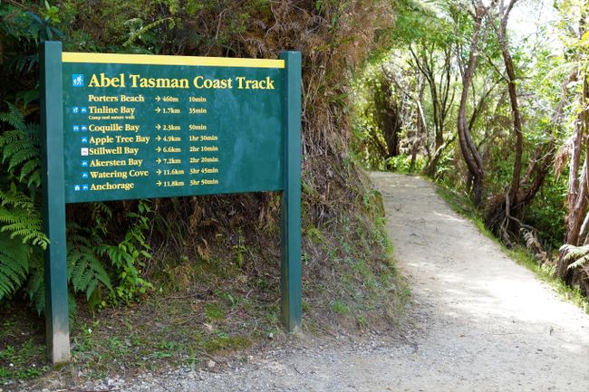 On the road in Abel Tasman National Park! - Motueka