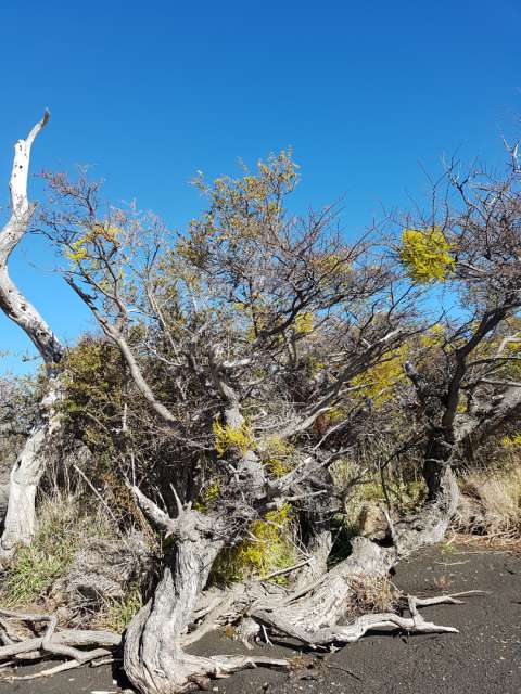 Nationalpark Torres del Paine...