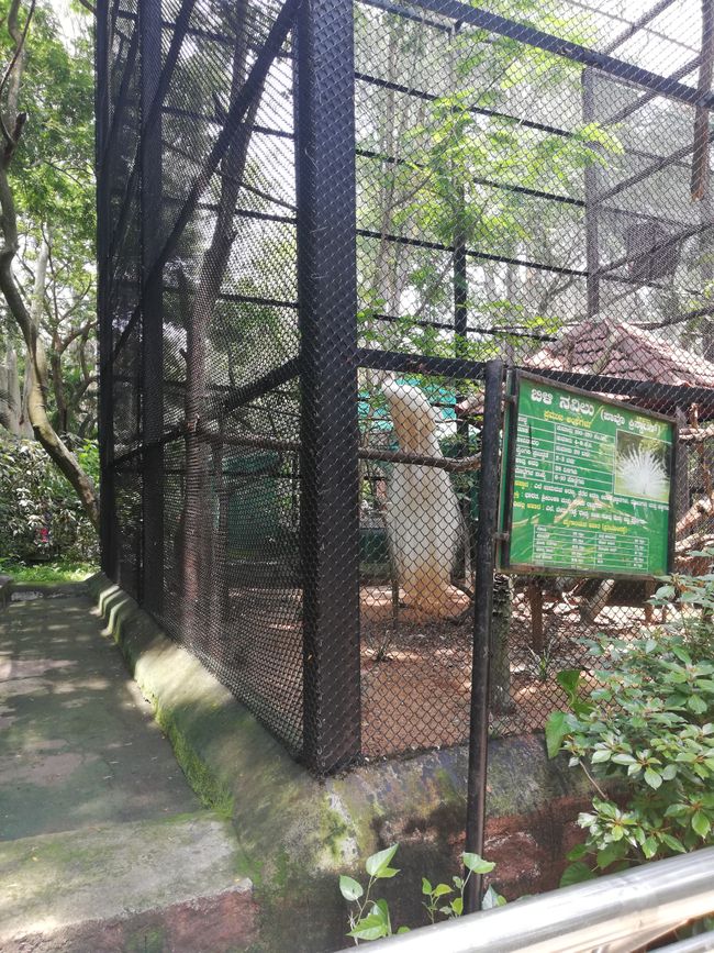 Banaghata Zoo und Safari