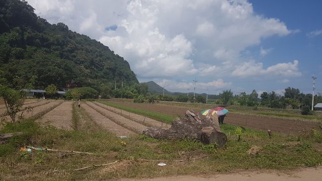 A pretty long tour with the scooter to the northern border of Thailand.